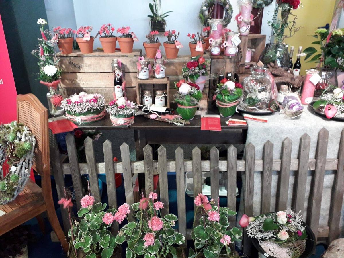 Tisch mit Topfpflanzen und Dekoration in Rosa